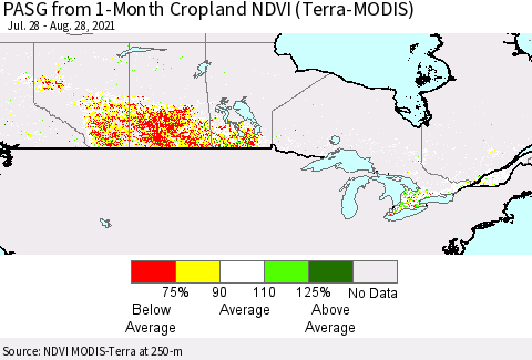 Canada PASG from 1-Month Cropland NDVI (Terra-MODIS) Thematic Map For 8/21/2021 - 8/28/2021