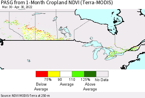 Canada PASG from 1-Month Cropland NDVI (Terra-MODIS) Thematic Map For 4/23/2022 - 4/30/2022