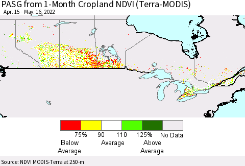 Canada PASG from 1-Month Cropland NDVI (Terra-MODIS) Thematic Map For 5/9/2022 - 5/16/2022
