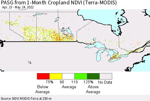 Canada PASG from 1-Month Cropland NDVI (Terra-MODIS) Thematic Map For 5/17/2022 - 5/24/2022