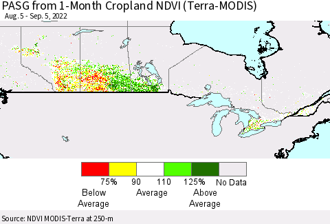 Canada PASG from 1-Month Cropland NDVI (Terra-MODIS) Thematic Map For 8/29/2022 - 9/5/2022