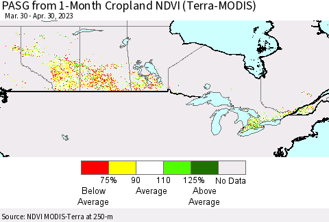 Canada PASG from 1-Month Cropland NDVI (Terra-MODIS) Thematic Map For 4/23/2023 - 4/30/2023