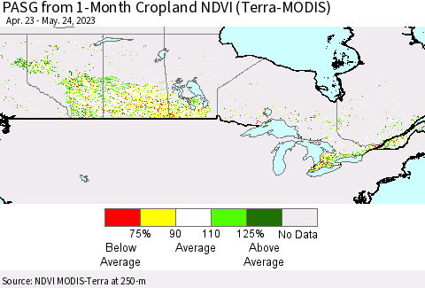 Canada PASG from 1-Month Cropland NDVI (Terra-MODIS) Thematic Map For 5/17/2023 - 5/24/2023