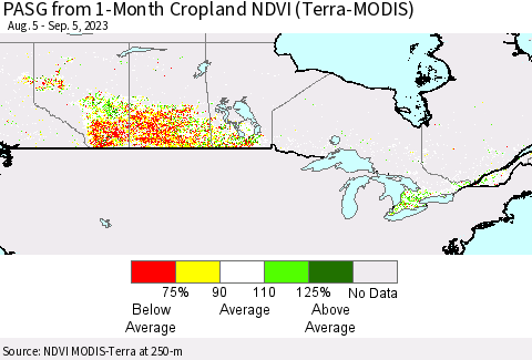 Canada PASG from 1-Month Cropland NDVI (Terra-MODIS) Thematic Map For 8/29/2023 - 9/5/2023
