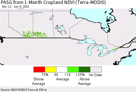 Canada PASG from 1-Month Cropland NDVI (Terra-MODIS) Thematic Map For 1/1/2024 - 1/8/2024