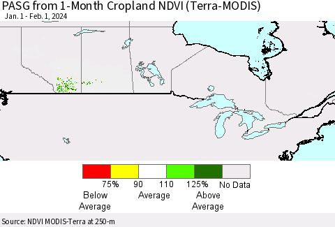 Canada PASG from 1-Month Cropland NDVI (Terra-MODIS) Thematic Map For 1/25/2024 - 2/1/2024