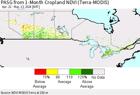 Canada PASG from 1-Month Cropland NDVI (Terra-MODIS) Thematic Map For 5/16/2024 - 5/23/2024