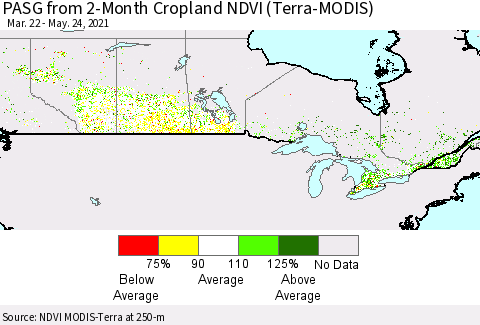 Canada PASG from 2-Month Cropland NDVI (Terra-MODIS) Thematic Map For 5/17/2021 - 5/24/2021