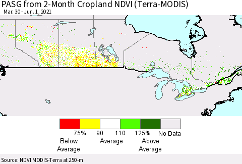 Canada PASG from 2-Month Cropland NDVI (Terra-MODIS) Thematic Map For 5/25/2021 - 6/1/2021