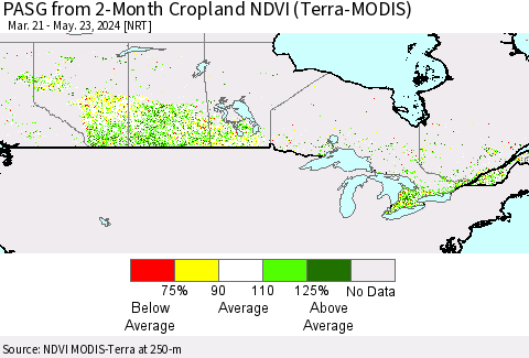 Canada PASG from 2-Month Cropland NDVI (Terra-MODIS) Thematic Map For 5/16/2024 - 5/23/2024