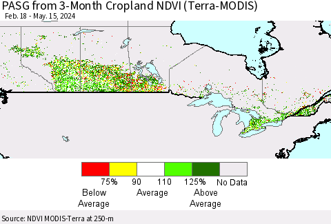 Canada PASG from 3-Month Cropland NDVI (Terra-MODIS) Thematic Map For 5/8/2024 - 5/15/2024
