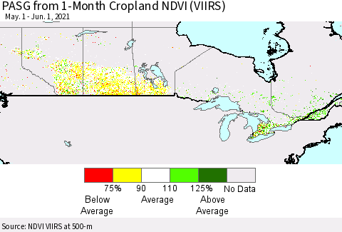 Canada PASG from 1-Month Cropland NDVI (VIIRS) Thematic Map For 5/25/2021 - 6/1/2021