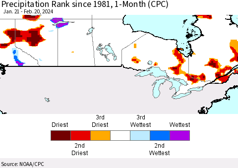 Canada Precipitation Rank since 1981, 1-Month (CPC) Thematic Map For 1/21/2024 - 2/20/2024