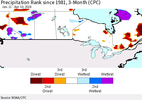 Canada Precipitation Rank since 1981, 3-Month (CPC) Thematic Map For 1/11/2024 - 4/10/2024