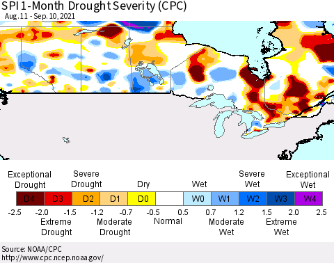 Canada SPI 1-Month Drought Severity (CPC) Thematic Map For 8/11/2021 - 9/10/2021