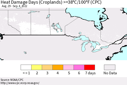 Canada Heat Damage Days (Croplands) >=38°C/100°F (CPC) Thematic Map For 8/29/2022 - 9/4/2022
