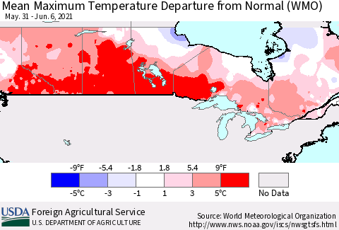 Canada Mean Maximum Temperature Departure from Normal (WMO) Thematic Map For 5/31/2021 - 6/6/2021