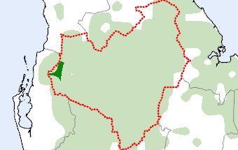 Anuradhapura