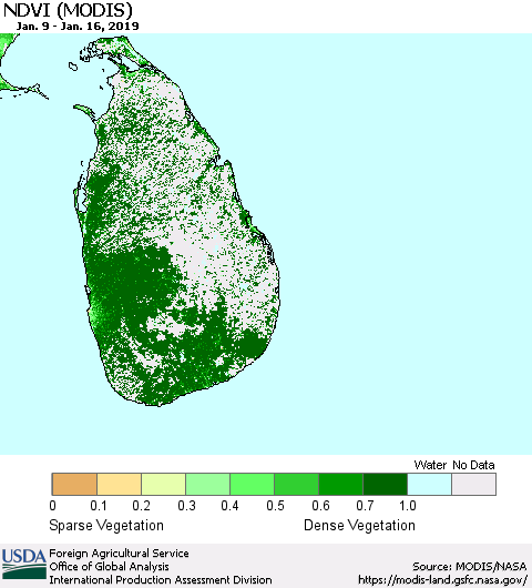 Sri Lanka NDVI (MODIS-Terra) Thematic Map For 1/11/2019 - 1/20/2019