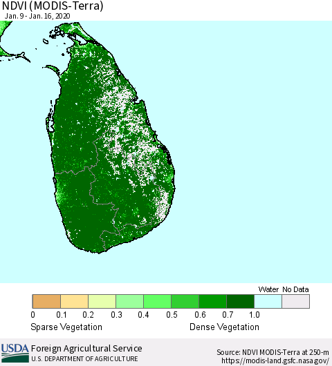 Sri Lanka NDVI (Terra-MODIS) Thematic Map For 1/11/2020 - 1/20/2020