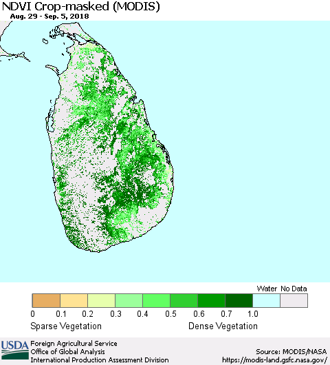 Sri Lanka Cropland NDVI (Terra-MODIS) Thematic Map For 9/1/2018 - 9/10/2018