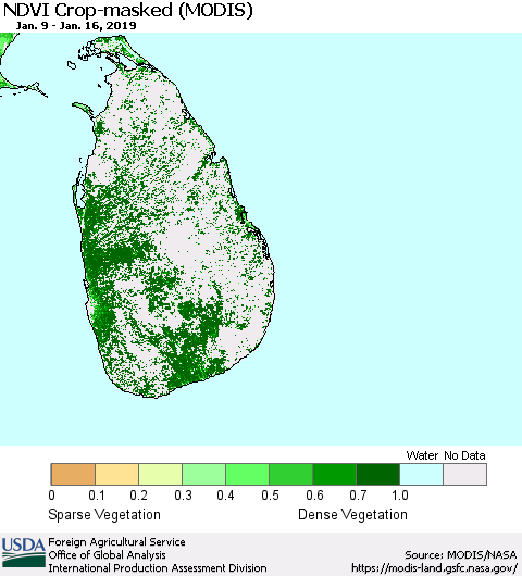 Sri Lanka Cropland NDVI (Terra-MODIS) Thematic Map For 1/11/2019 - 1/20/2019