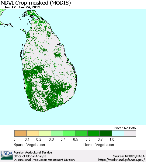 Sri Lanka NDVI Crop-masked (MODIS-Terra) Thematic Map For 1/21/2019 - 1/31/2019