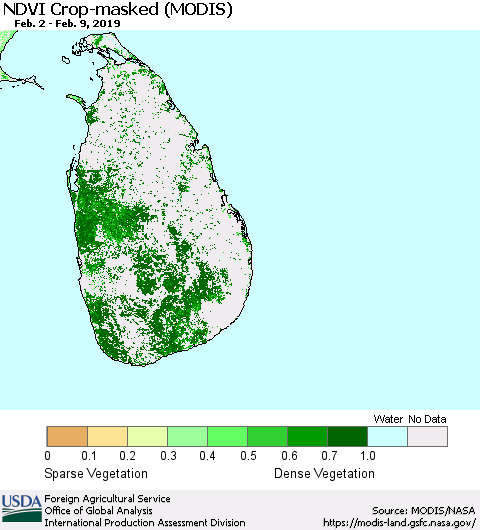 Sri Lanka Cropland NDVI (Terra-MODIS) Thematic Map For 2/1/2019 - 2/10/2019