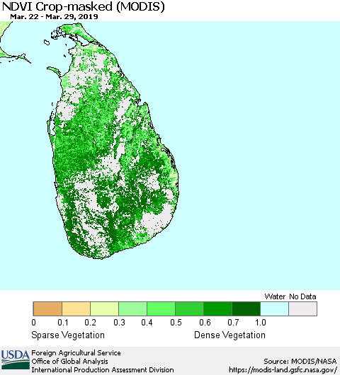 Sri Lanka Cropland NDVI (Terra-MODIS) Thematic Map For 3/21/2019 - 3/31/2019