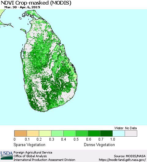 Sri Lanka NDVI Crop-masked (MODIS-Terra) Thematic Map For 4/1/2019 - 4/10/2019