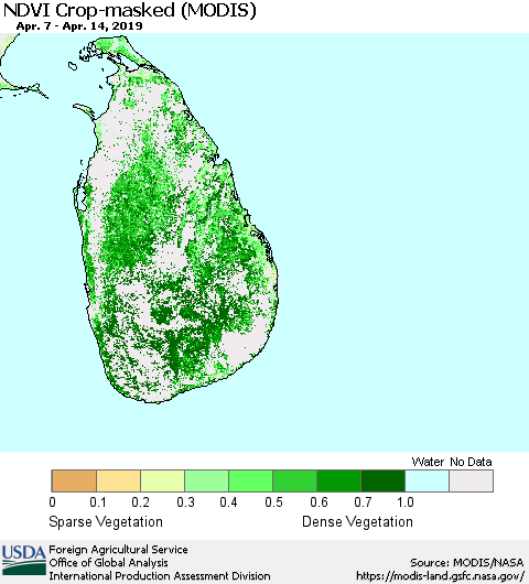 Sri Lanka Cropland NDVI (Terra-MODIS) Thematic Map For 4/11/2019 - 4/20/2019