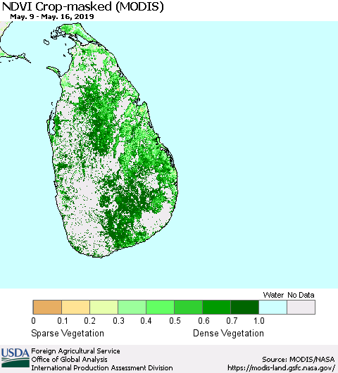 Sri Lanka Cropland NDVI (Terra-MODIS) Thematic Map For 5/11/2019 - 5/20/2019