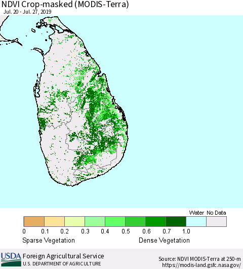 Sri Lanka Cropland NDVI (Terra-MODIS) Thematic Map For 7/21/2019 - 7/31/2019