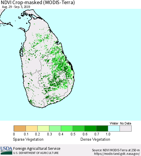 Sri Lanka Cropland NDVI (Terra-MODIS) Thematic Map For 9/1/2019 - 9/10/2019
