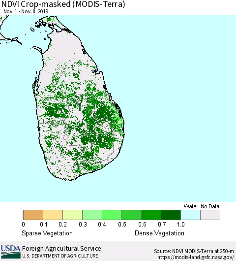 Sri Lanka Cropland NDVI (Terra-MODIS) Thematic Map For 11/1/2019 - 11/10/2019