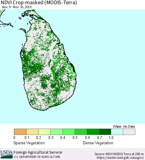 Sri Lanka Cropland NDVI (Terra-MODIS) Thematic Map For 11/11/2019 - 11/20/2019