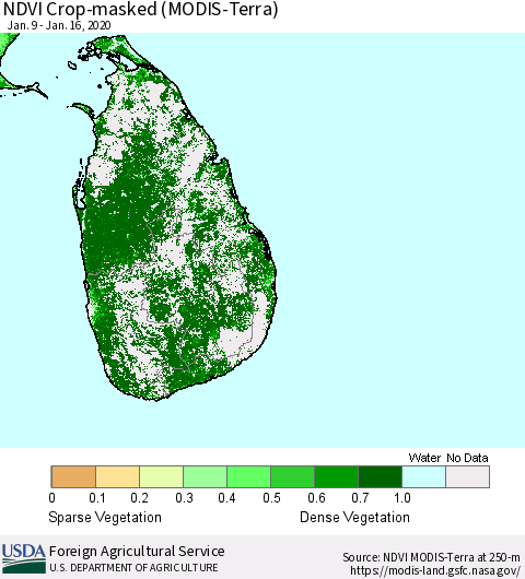 Sri Lanka Cropland NDVI (Terra-MODIS) Thematic Map For 1/11/2020 - 1/20/2020