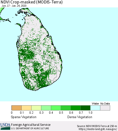 Sri Lanka Cropland NDVI (Terra-MODIS) Thematic Map For 1/21/2020 - 1/31/2020