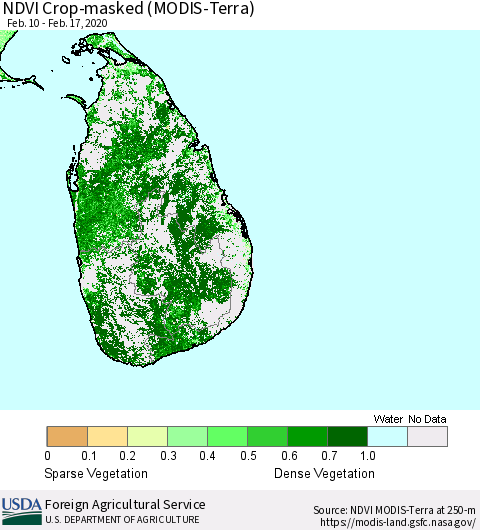Sri Lanka Cropland NDVI (Terra-MODIS) Thematic Map For 2/11/2020 - 2/20/2020