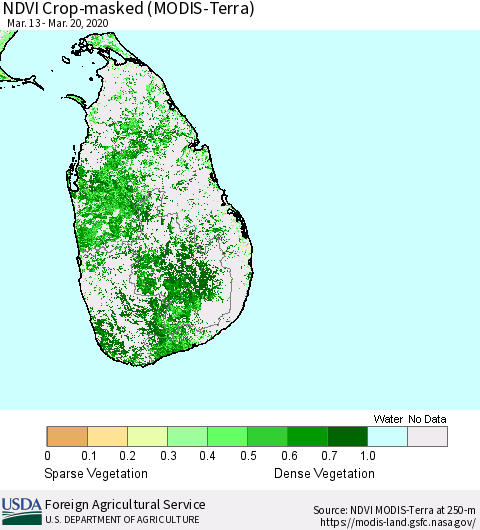 Sri Lanka Cropland NDVI (Terra-MODIS) Thematic Map For 3/11/2020 - 3/20/2020