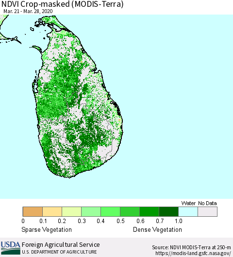 Sri Lanka Cropland NDVI (Terra-MODIS) Thematic Map For 3/21/2020 - 3/31/2020
