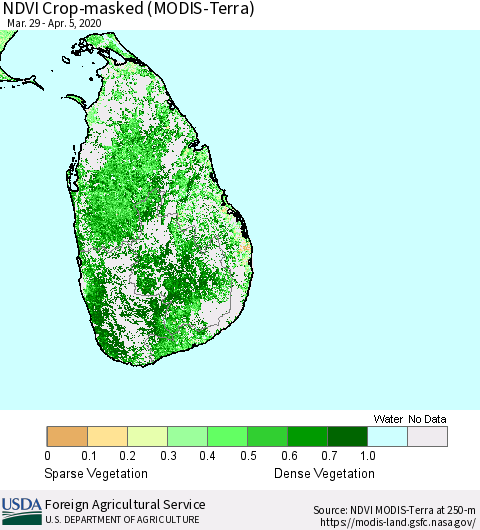 Sri Lanka Cropland NDVI (Terra-MODIS) Thematic Map For 4/1/2020 - 4/10/2020