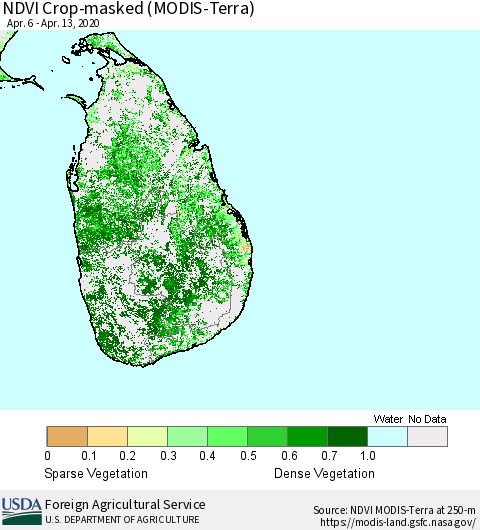 Sri Lanka Cropland NDVI (Terra-MODIS) Thematic Map For 4/11/2020 - 4/20/2020