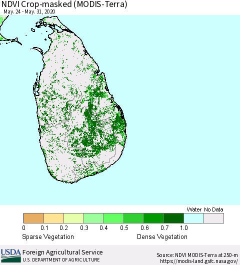 Sri Lanka Cropland NDVI (Terra-MODIS) Thematic Map For 5/21/2020 - 5/31/2020