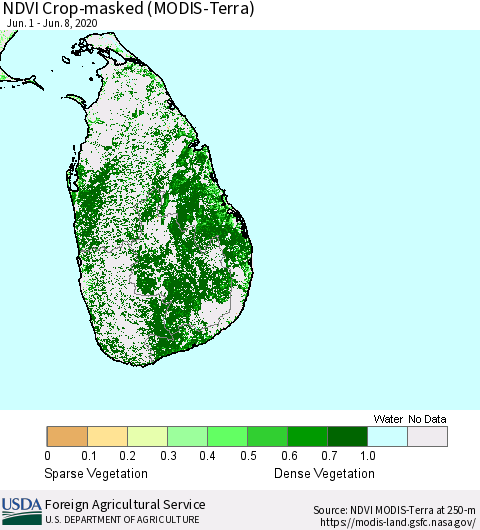 Sri Lanka Cropland NDVI (Terra-MODIS) Thematic Map For 6/1/2020 - 6/10/2020