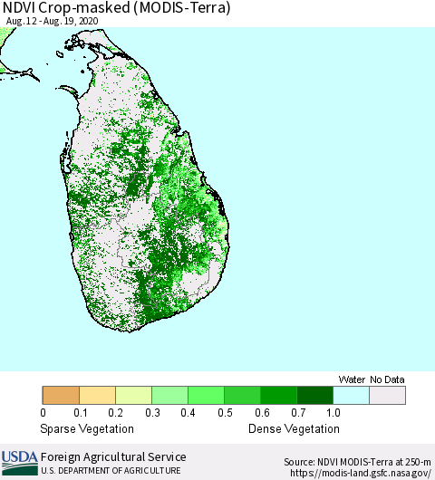 Sri Lanka Cropland NDVI (Terra-MODIS) Thematic Map For 8/11/2020 - 8/20/2020