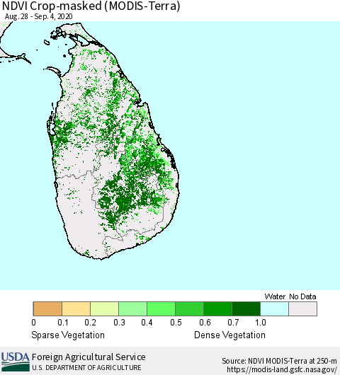 Sri Lanka Cropland NDVI (Terra-MODIS) Thematic Map For 9/1/2020 - 9/10/2020