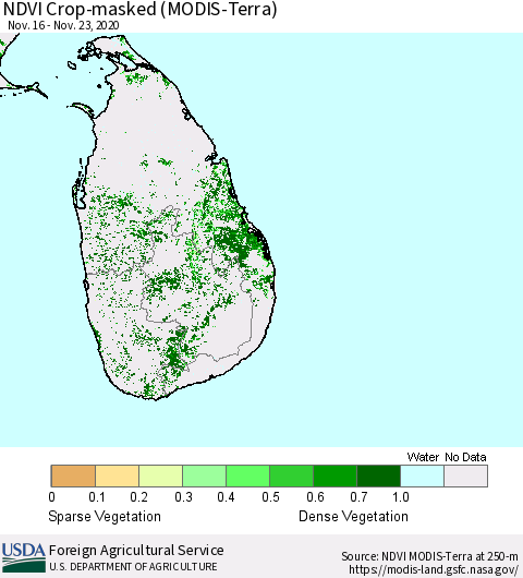 Sri Lanka Cropland NDVI (Terra-MODIS) Thematic Map For 11/21/2020 - 11/30/2020