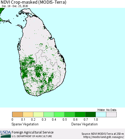 Sri Lanka NDVI Crop-masked (MODIS-Terra) Thematic Map For 12/21/2020 - 12/31/2020