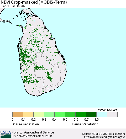 Sri Lanka NDVI Crop-masked (MODIS-Terra) Thematic Map For 1/11/2021 - 1/20/2021